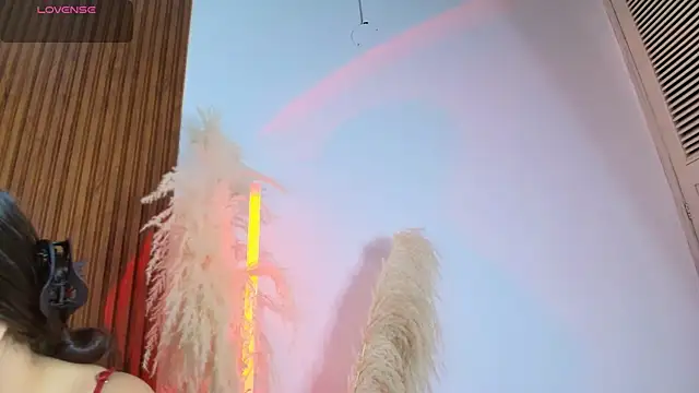 Samy Grey01 online show from March 19, 2026, 3:06 am