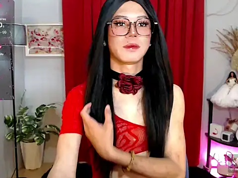 Snapshot of MissTransStella69 chatting on November 19, 2025, 6:24 am MissTransStella69 online show from November 19, 2025, 6:24 am