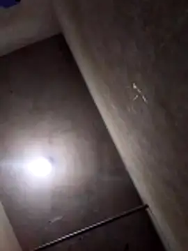 Lujor online show from April 8, 2026, 12:34 am