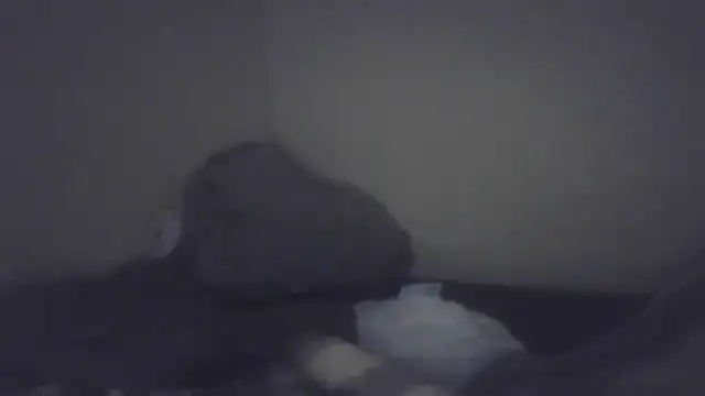 cuminsidebby online show from February 7, 2026, 8:28 pm