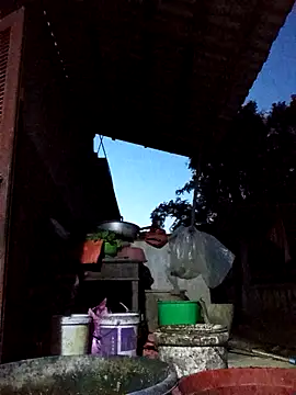 Bibilenu online show from October 19, 2025, 11:02 am