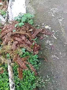 Phuongphuongg online show from October 9, 2025, 2:12 am