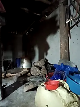 Snapshot of Exembin chatting on September 17, 2025, 3:08 am Exembin online show from September 17, 2025, 3:08 am