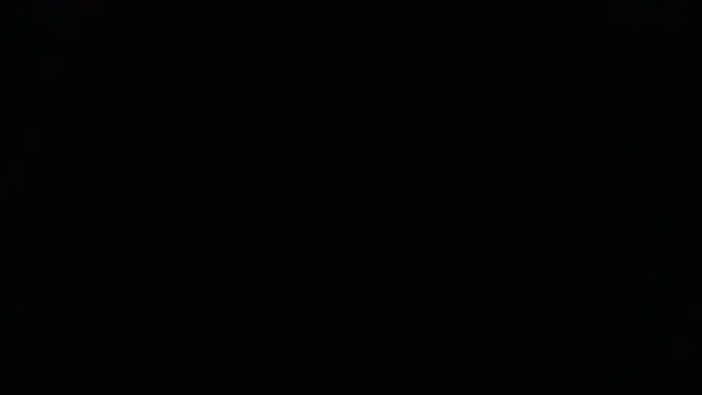 Alex mojica online show from November 20, 2025, 6:03 am