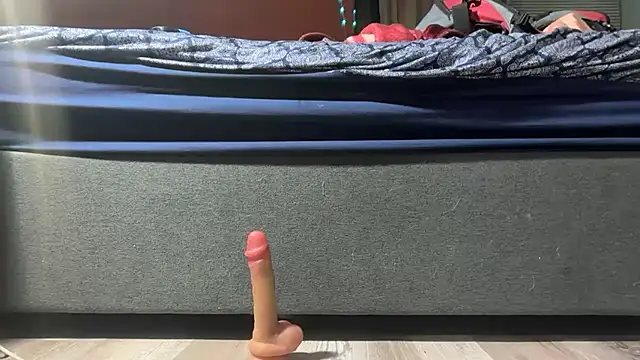 bearcub300 online show from December 18, 2025, 5:34 am