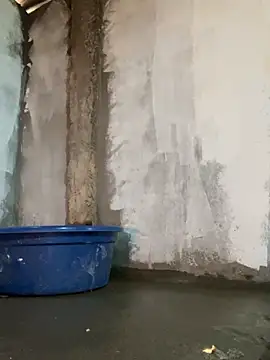 Sunny lotus online show from April 16, 2026, 5:19 am