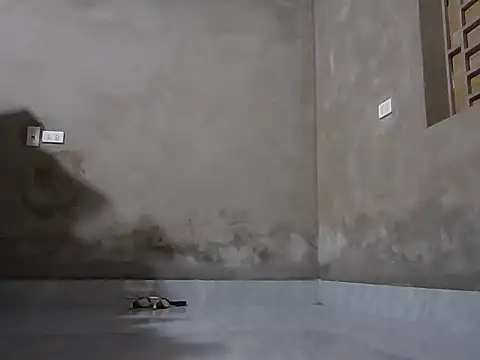 Snapshot of Bjorn357 chatting on March 3, 2026, 6:31 am Bjorn357 online show from March 3, 2026, 6:31 am