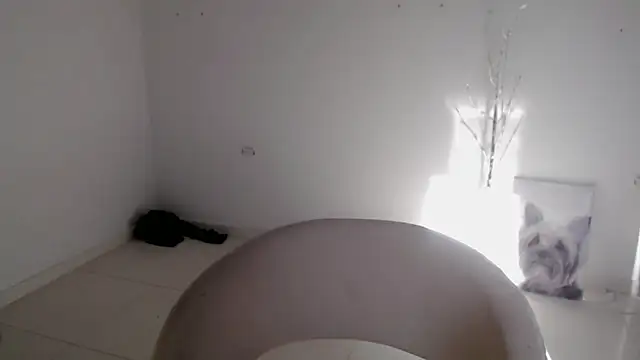 Stein  online show from September 24, 2025, 12:55 pm