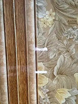 Julia-Elsa online show from November 2, 2025, 3:55 am