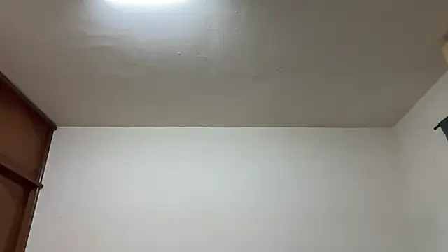 Snapshot of Foxfoxfox4 chatting on February 17, 2026, 3:31 pm Foxfoxfox4 online show from February 17, 2026, 3:31 pm