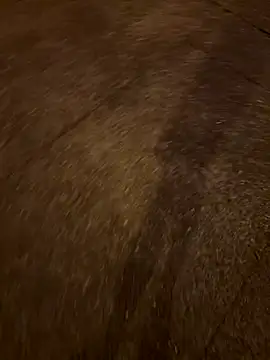 Snapshot of Foxfoxfox4 chatting on November 28, 2025, 1:00 pm Foxfoxfox4 online show from November 28, 2025, 1:00 pm