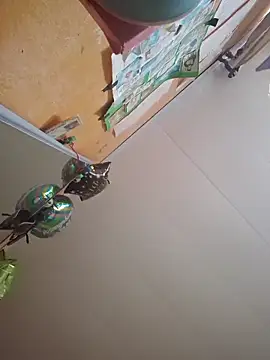 Linda Hot13 online show from October 7, 2025, 2:29 pm