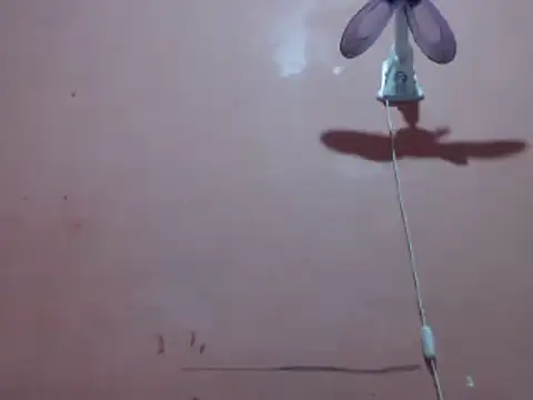 Snapshot of Kyoshi_19 chatting on September 26, 2025, 12:34 pm Kyoshi 19 online show from September 26, 2025, 12:34 pm