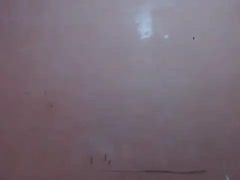 Kyoshi 19 online show from February 12, 2026, 9:42 am