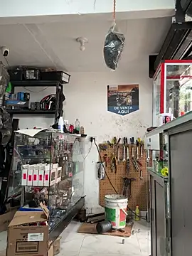 Terra-22cm online show from January 5, 2026, 5:27 pm