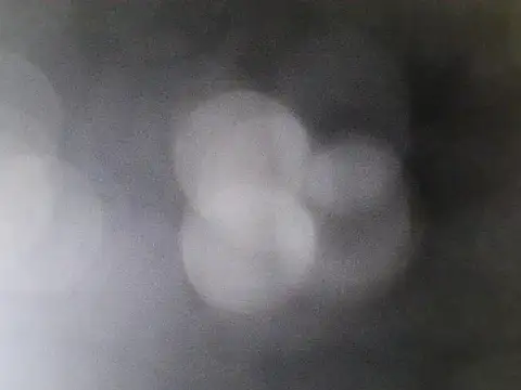 Asian PrettyAle online show from February 21, 2026, 1:40 am