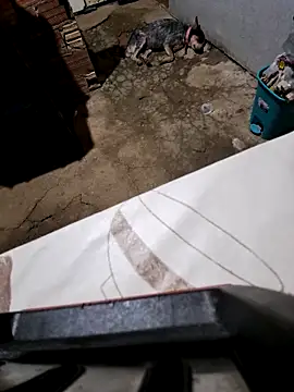 Snapshot of Negodabenga chatting on October 27, 2025, 11:27 pm Negodabenga online show from October 27, 2025, 11:27 pm