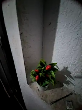 Snapshot of MIXJARABA chatting on February 8, 2026, 8:01 am MIXJARABA online show from February 8, 2026, 8:01 am