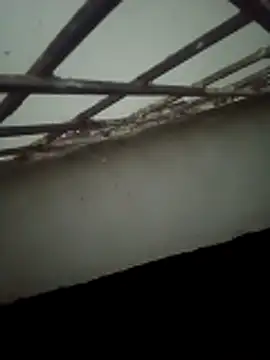 Daisygirl9 online show from October 22, 2025, 9:35 pm