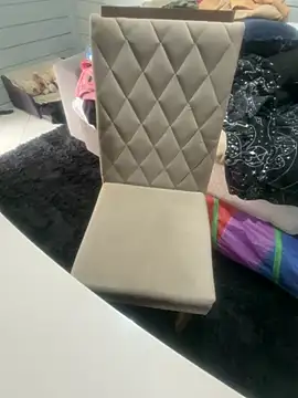 Snapshot of AnimistEquity chatting on November 12, 2025, 3:38 pm AnimistEquity online show from November 12, 2025, 3:38 pm