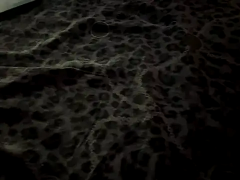 Snapshot of Ancora1977 chatting on October 7, 2025, 10:44 pm Ancora1977 online show from October 7, 2025, 10:44 pm