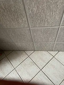 Snapshot of Ancora1977 chatting on October 25, 2025, 2:28 pm Ancora1977 online show from October 25, 2025, 2:28 pm