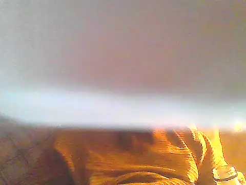 PenerPanShibari online show from December 16, 2025, 9:02 am