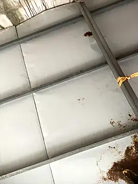 Sao min online show from October 31, 2025, 6:43 am