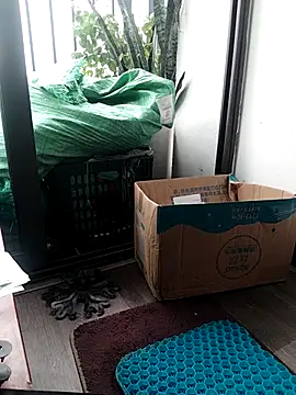 Snapshot of Linh_linh01 chatting on October 14, 2025, 8:04 am Linh linh01 online show from October 14, 2025, 8:04 am