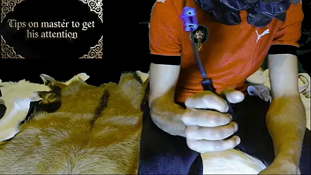 JUSTFORRICH online show from January 15, 2026, 3:10 am