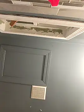 chocolate bella online show from November 20, 2025, 4:57 am