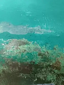 Love-pari077 online show from September 19, 2025, 6:17 am