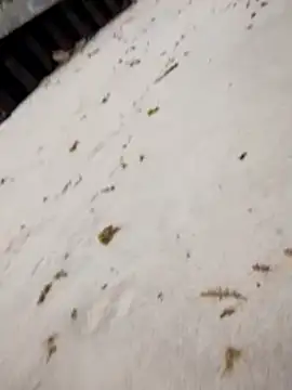 Snapshot of sarahkat86 chatting on October 25, 2025, 7:14 pm sarahkat86 online show from October 25, 2025, 7:14 pm