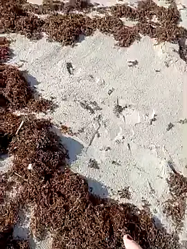 Snapshot of sarahkat86 chatting on October 9, 2025, 1:11 pm sarahkat86 online show from October 9, 2025, 1:11 pm