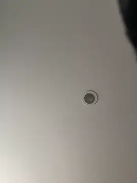 Snapshot of Gipsyboysteve chatting on February 5, 2026, 2:57 pm Gipsyboysteve online show from February 5, 2026, 2:57 pm