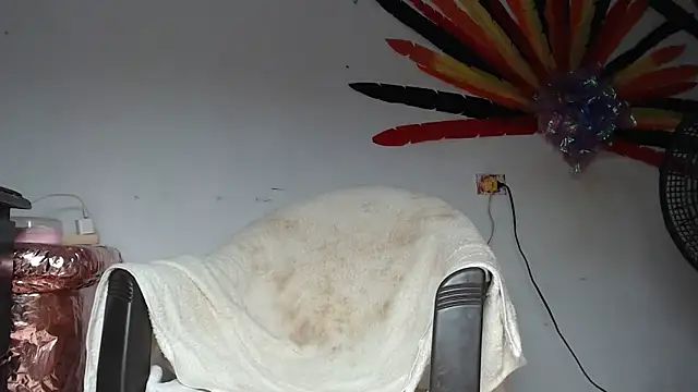 maggi hotsson online show from April 10, 2026, 6:09 am