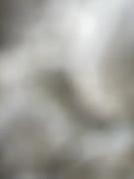 Foxxy Doll online show from February 5, 2026, 3:19 pm