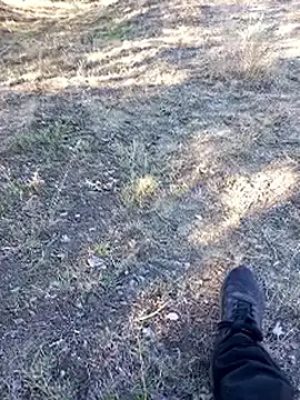 bullut06 online show from September 23, 2025, 6:42 am