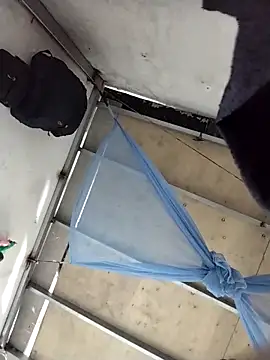 naop04 online show from October 31, 2025, 11:11 pm