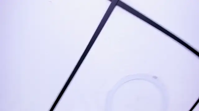 katte landerr online show from November 26, 2025, 1:44 pm