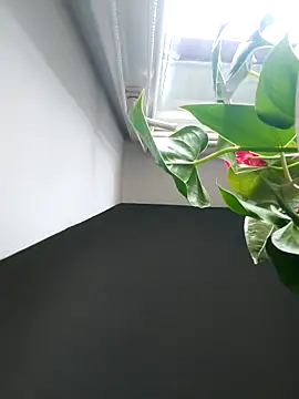 Snapshot of Czarnoksieznik chatting on November 2, 2025, 12:10 pm Czarnoksieznik online show from November 2, 2025, 12:10 pm