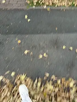 Bigdick 20cmlang6cmbreit online show from September 23, 2025, 4:25 pm