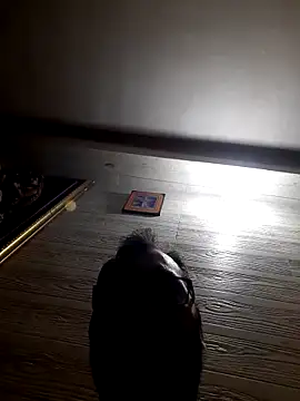 Hot-boy077 online show from February 4, 2026, 4:13 pm