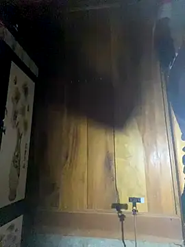 Snapshot of Lai005 chatting on October 14, 2025, 11:11 am Lai005 online show from October 14, 2025, 11:11 am