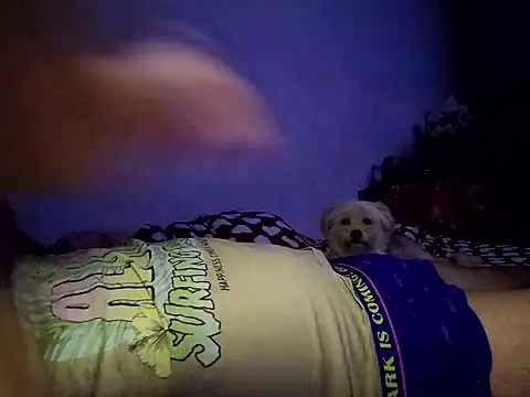 Snapshot of Alexandra23d chatting on October 2, 2025, 9:18 pm Alexandra23d online show from October 2, 2025, 9:18 pm