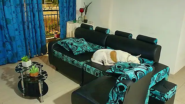 Snapshot of DaveSoldier chatting on September 18, 2025, 6:05 am DaveSoldier online show from September 18, 2025, 6:05 am