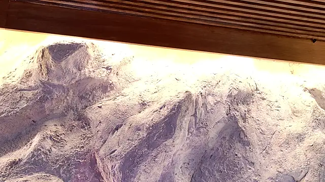 Katarina Rostova online show from November 19, 2025, 5:02 pm