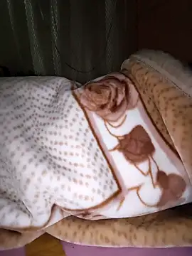 Shalu G online show from November 15, 2025, 1:20 am