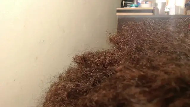 madelene online show from September 20, 2025, 4:06 am