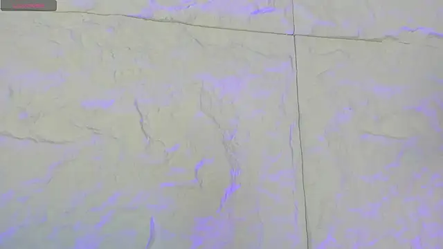 Snapshot of CarolineLee_ chatting on February 11, 2026, 10:42 pm CarolineLee online show from February 11, 2026, 10:42 pm